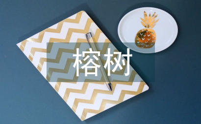 榕树独木成林景观设计施工探讨