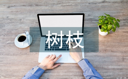 树枝的嫁接方法