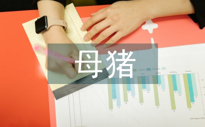 繁母猪育肥猪保险工作通知