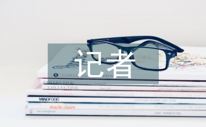 记者专业技术工作总结