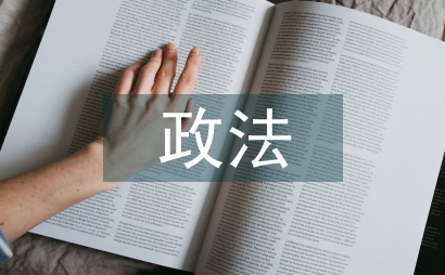 上半年政法工作总结