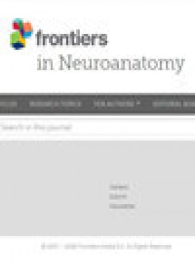 Frontiers In Neuroanatomy