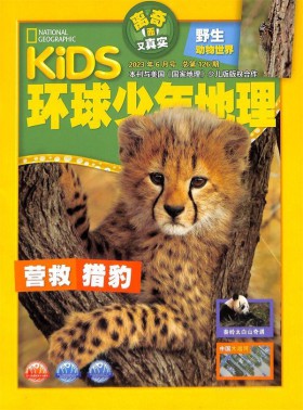环球少年地理