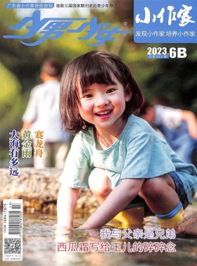 少男少女小作家杂志