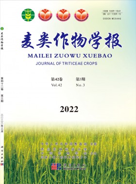 麦类作物学报