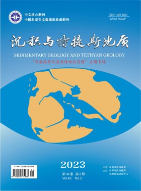 沉积与特提斯地质