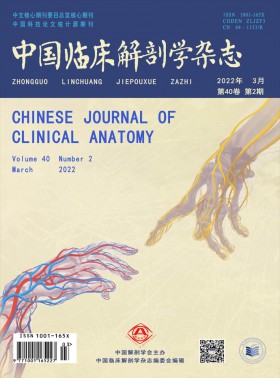 中国临床解剖学期刊