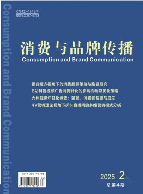 消费与品牌传播