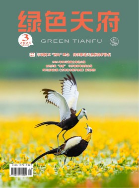 绿色天府