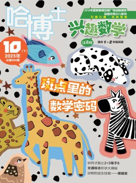 哈博士兴趣数学