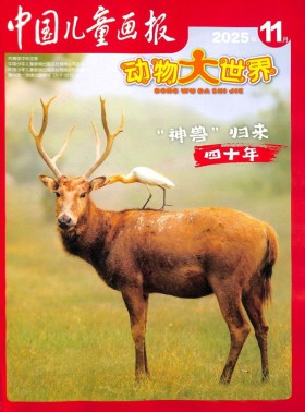 中国儿童画报