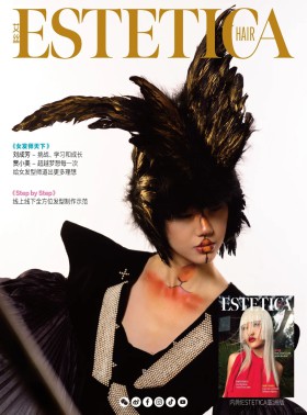 ESTETICA CHINA艾丝