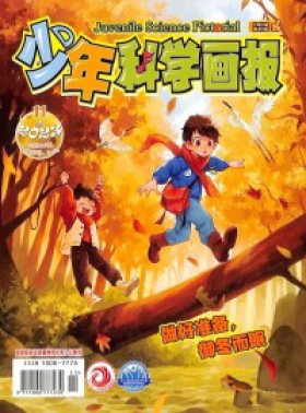 少年科学画报